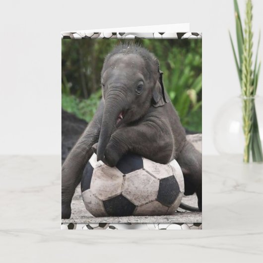 Elephant Soccer Kaart (Voorkant)