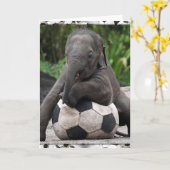 Elephant Soccer Kaart (Gele Bloem)
