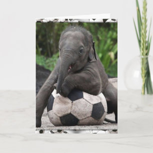 Elephant Soccer Kaart