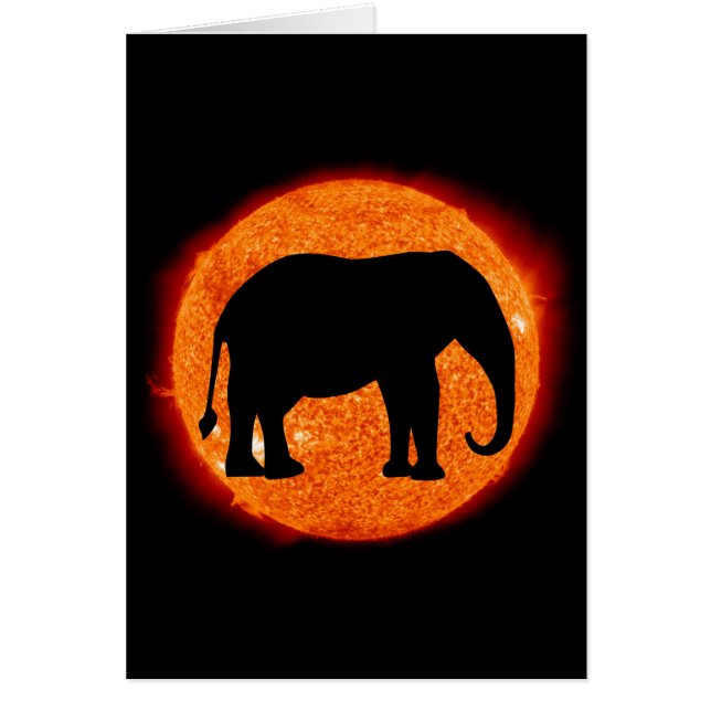 Elephant Solar Eclipse (Voorkant)