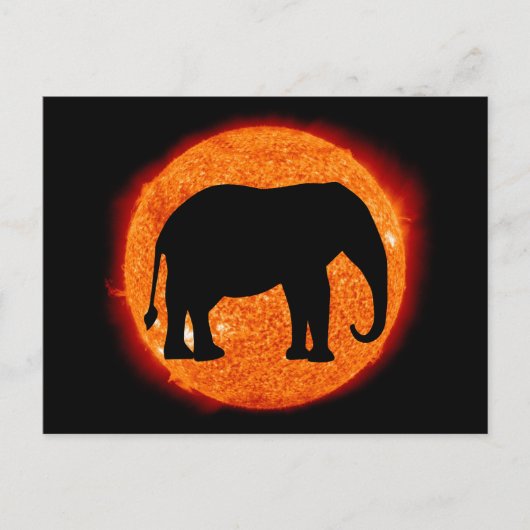 Elephant Solar Eclipse Briefkaart (Voorkant)