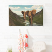 Elephant Spandoek (Insitu)