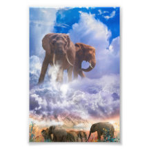 ELEPHANT SPIRITS VAN Mount Kilimanjaro