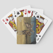 Elephant springt over Giraffe Pokerkaarten (Achterkant)