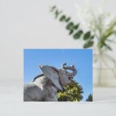 Elephant statue buiten museum d'Orsay in Parijs Briefkaart (Staand voorkant)