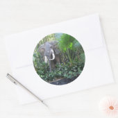Elephant sticker (Envelop)