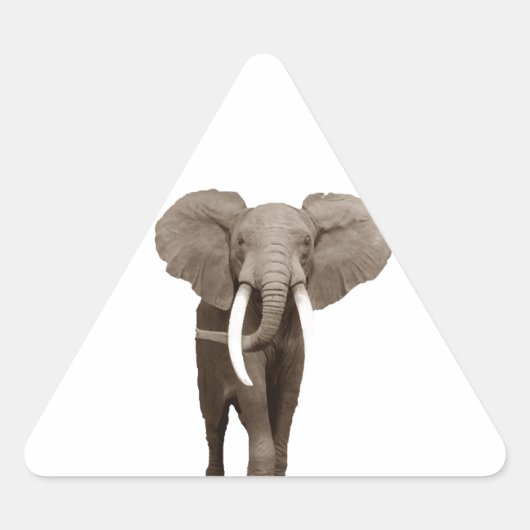Elephant Sticker (Voorkant)