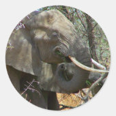 Elephant Stickers (Voorkant)