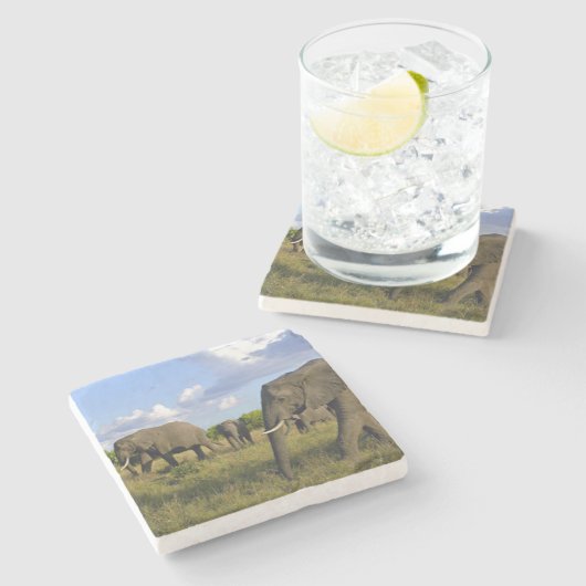 Elephant Stone Onderzetter (Zijkant)