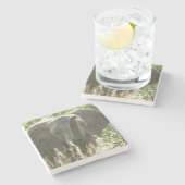 Elephant Stone Onderzetter (volledige kleur) (Zijkant)