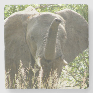 Elephant Stone Onderzetter (volledige kleur)