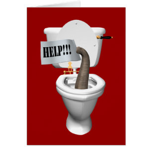 Elephant Stuck in Toilet