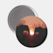 Elephant Sunset Silhouette Magneet (Voorkant / Achterkant)