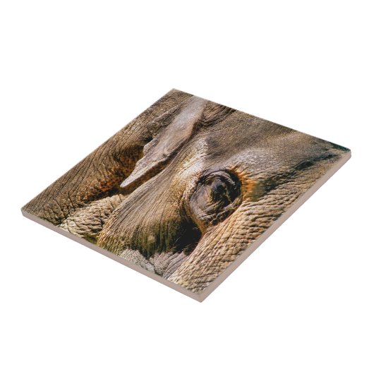 ELEPHANT TEGELTJE (Zijkant)