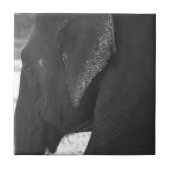 Elephant Tegeltje (Voorkant)