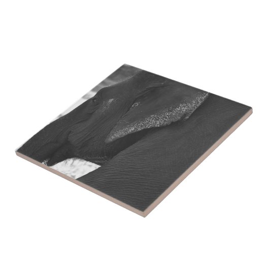 Elephant Tegeltje (Zijkant)