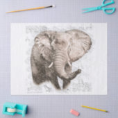 Elephant Tekening Tissuepapier (Craft)