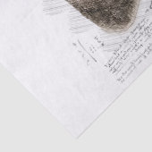 Elephant Tekening Tissuepapier (Detail)