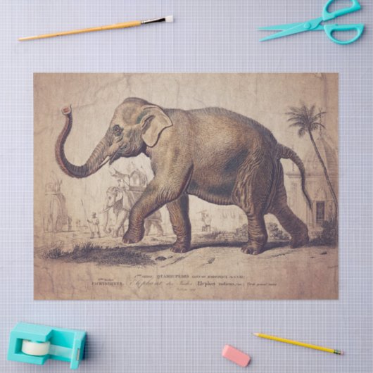 Elephant Tissue of decoupage Paper Tissuepapier (Craft)