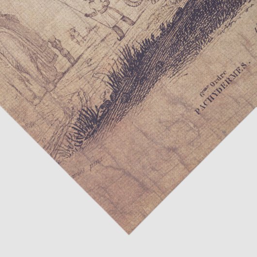 Elephant Tissue of decoupage Paper Tissuepapier (Detail)