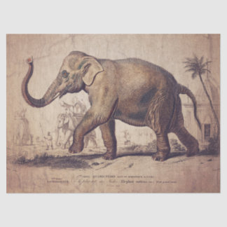 Elephant Tissue of decoupage Paper Tissuepapier