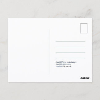 Elephant Tree Postcard Briefkaart