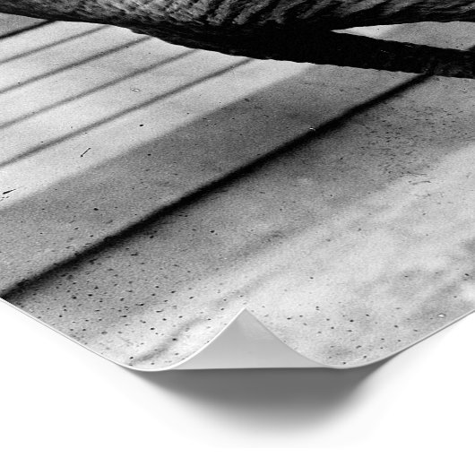 Elephant Trick, jaren 1910 Poster (Hoek)