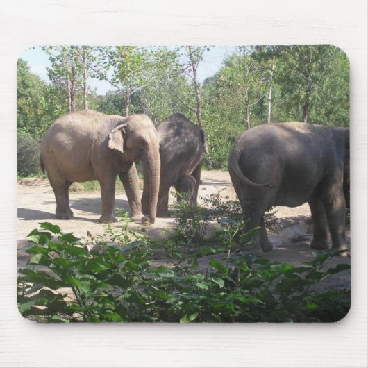 Elephant Trio Mousepad Muismat (Voorkant)