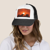 Elephant Trucker Pet (In situ)