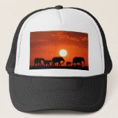 Elephant Trucker Pet (Voorkant)