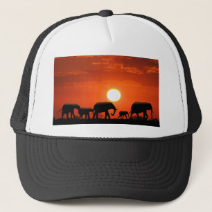 Elephant Trucker Pet