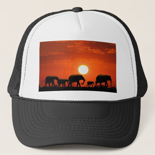 Elephant Trucker Pet (Voorkant)