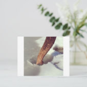 Elephant Trunk Briefkaart (Staand voorkant)