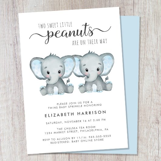Elephant Twin Boys Baby Sprinkle Kaart