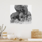 Elephant & Two Calves | Samburu Poster (Keuken)