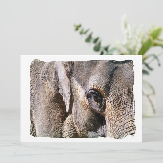 ELEPHANT-uitnodiging (Staand voorkant)