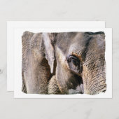 ELEPHANT-uitnodiging (Voorkant / Achterkant)