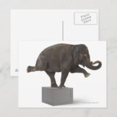 Elephant-uitvoerende truc op doos briefkaart (Voorkant / Achterkant)