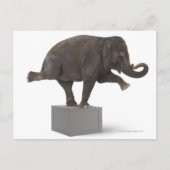 Elephant-uitvoerende truc op doos briefkaart (Voorkant)