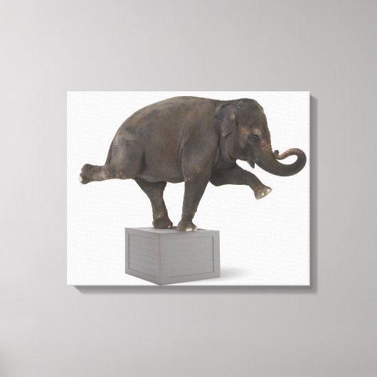 Elephant-uitvoerende truc op doos canvas afdruk (Voorkant)