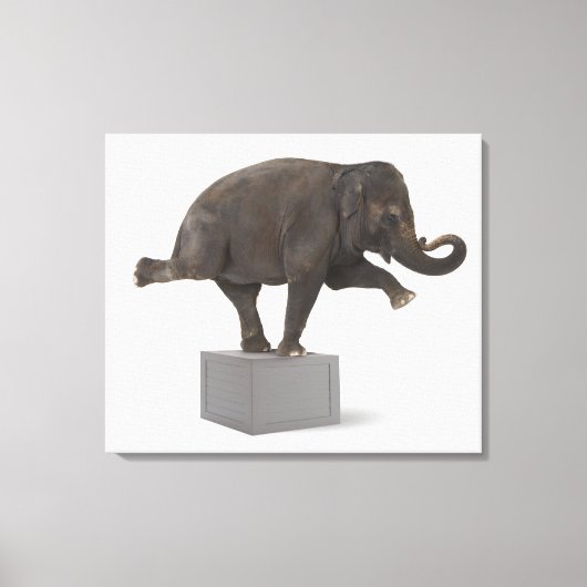 Elephant-uitvoerende truc op doos canvas afdruk (Voorkant)