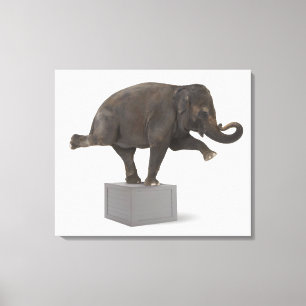 Elephant-uitvoerende truc op doos canvas afdruk