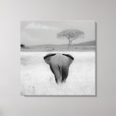 Elephant, uitzicht aan de achterzijde canvas afdruk (Voorkant)