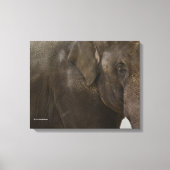 Elephant Up-Close Canvas Afdruk (Voorkant)