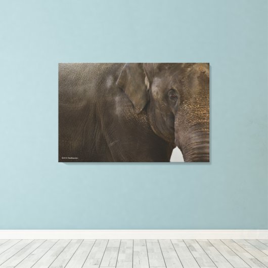 Elephant Up-Close Canvas Afdruk (Insitu (Houten vloer))