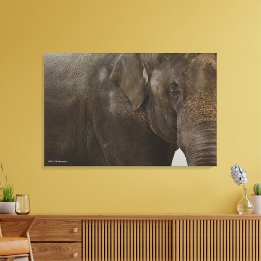 Elephant Up-Close Canvas Afdruk (Insitu (Woonkamer))