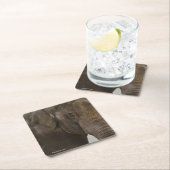 Elephant Up-Close Kartonnen Onderzetters (Insitu)