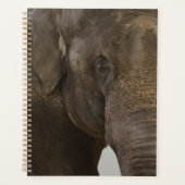 Elephant Up-Close Planner (Voorkant)
