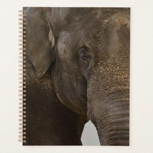 Elephant Up-Close Planner (Voorkant)