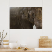 Elephant Up-Close Poster (Keuken)